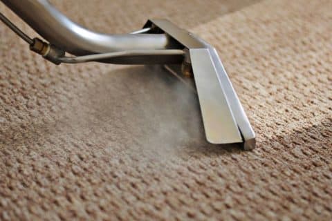 Professional carpet cleaning